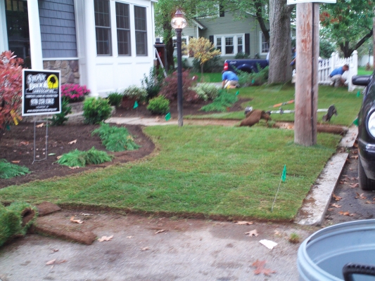 Mahoney's Garden Center New soft scape and sod lawn