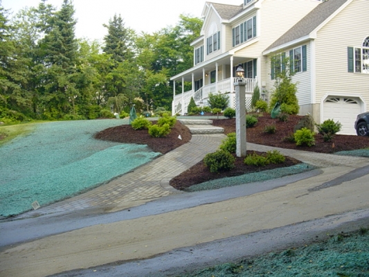 Ideal pavers,granite light ,and plantings