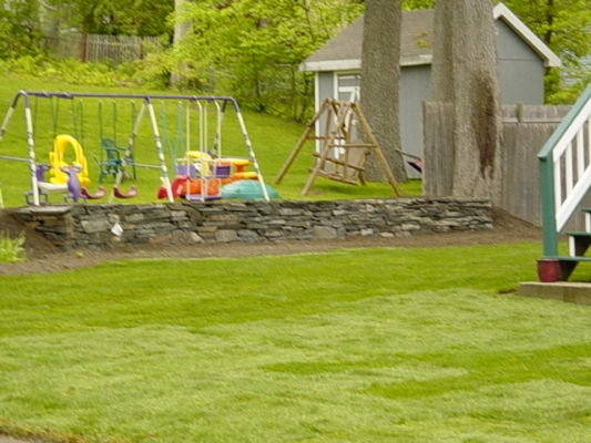 Rattle Snake Blue feild stone wall