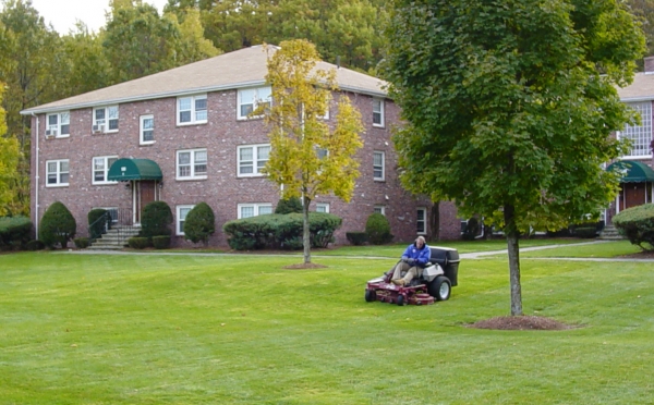 Commercial Mowing