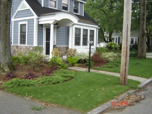 Mahoney's Garden Center plant and sod install