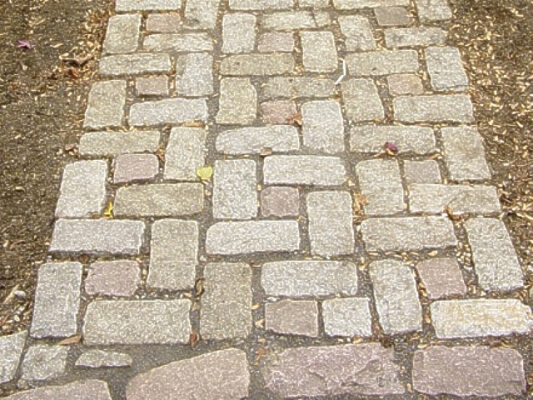 cobble stone walk