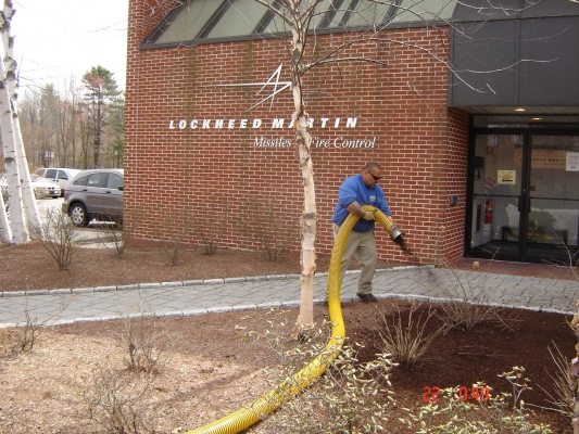 Bark mulch install